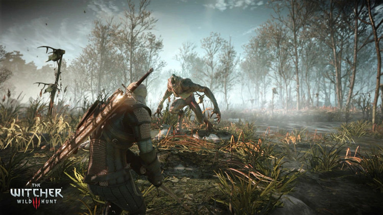 اکانت قانونی The Witcher 3 Wild Hunt