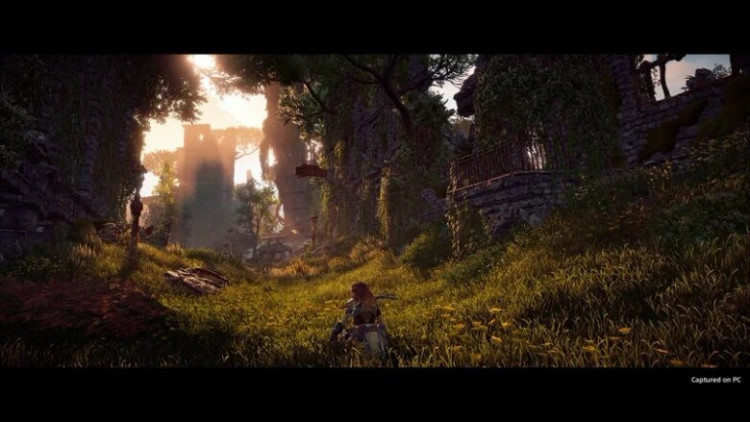 اکانت قانونی Horizon Zero Dawn Complete Edition PS5 PS4