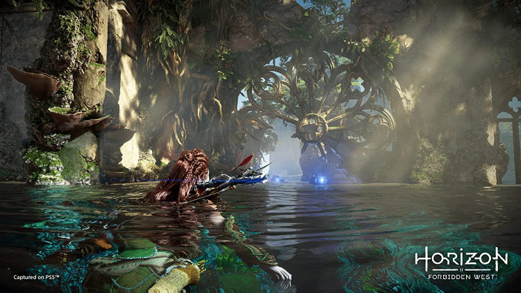 اکانت قانونی Horizon Forbidden West PS4 PS5