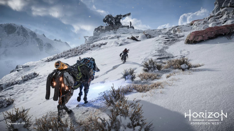 اکانت قانونی Horizon Forbidden West PS4 PS5