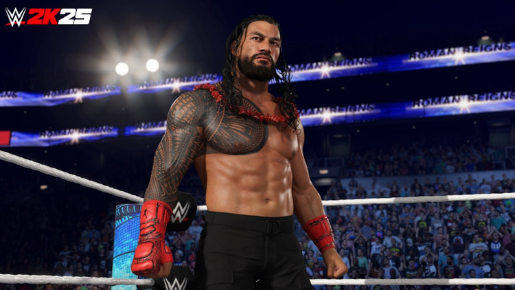 اکانت قانونی WWE 2K25 STANDARD EDITION PS5